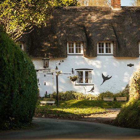Brace Of Pheasants Hotel Alton Pancras ภายนอก รูปภาพ