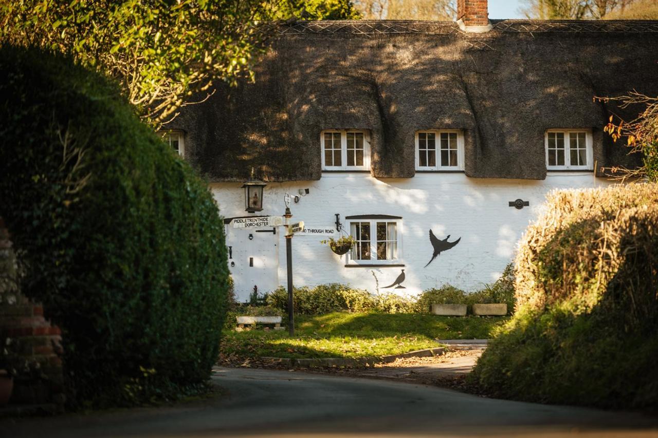 Brace Of Pheasants Hotel Alton Pancras ภายนอก รูปภาพ