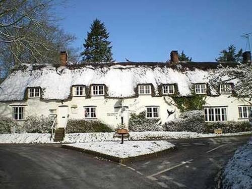 Brace Of Pheasants Hotel Alton Pancras ภายนอก รูปภาพ